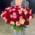 Букет 151 роза красный микс (50 см) в Волоколамске