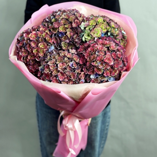 Букет из 5 космических Голландских гортензий в Волоколамске