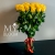 Букет 25 желтых роз эквадор (60 см) в Волоколамске