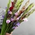 Букет из 25 гладиолусов микс в Волоколамске