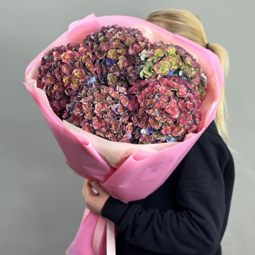 Букет из 5 космических Голландских гортензий в Волоколамске